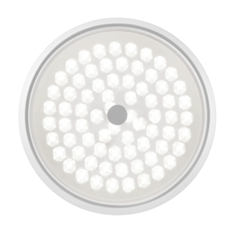 Потолочный светильник Freya FR10012CL-L24W