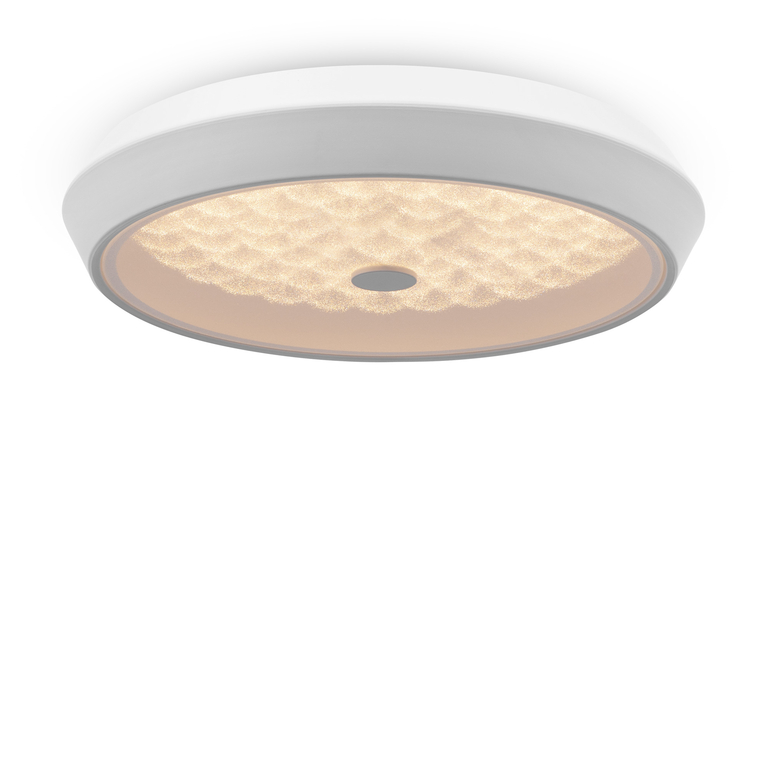 Потолочный светильник Freya FR10012CL-L24W