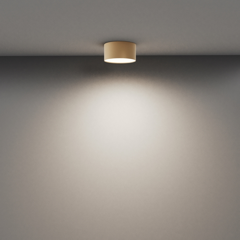 Потолочный светильник Technical C032CL-12W4K-RD-MG