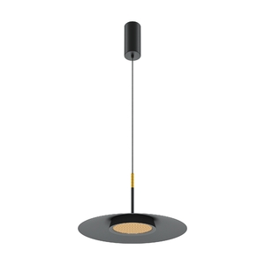 Подвесной светильник Maytoni MOD041PL-L15B3K1